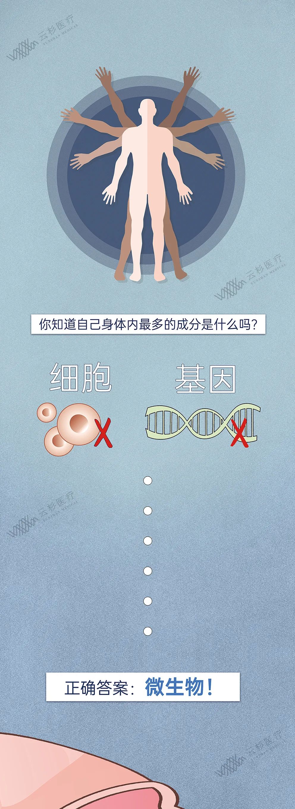 云杉医漫！肥胖、焦虑、癌症或许都与肠道菌群有关 （图1）